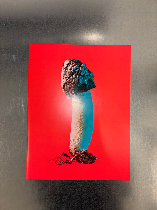Phyllis Ma - Mushrooms & Friends 3
